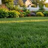 Yara YaraRega Flex 18-4-19 AmNit SOP 0.08B 0.08Zn Spread / Spray Granular Fertilizer 50 lb. Bag