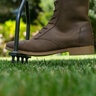 Lewis Spike Aerator