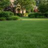 ZIPSOL 21-0-0 100% AS Turfgrass Soluble Granular Fertilizer 50 lb. Bag
