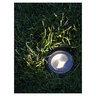 In-Lite Luna Black Ring 2 3/8 in. Recessed Light 12V