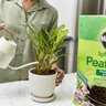 Miracle-Gro Sphagnum Peat Moss 8 qt.