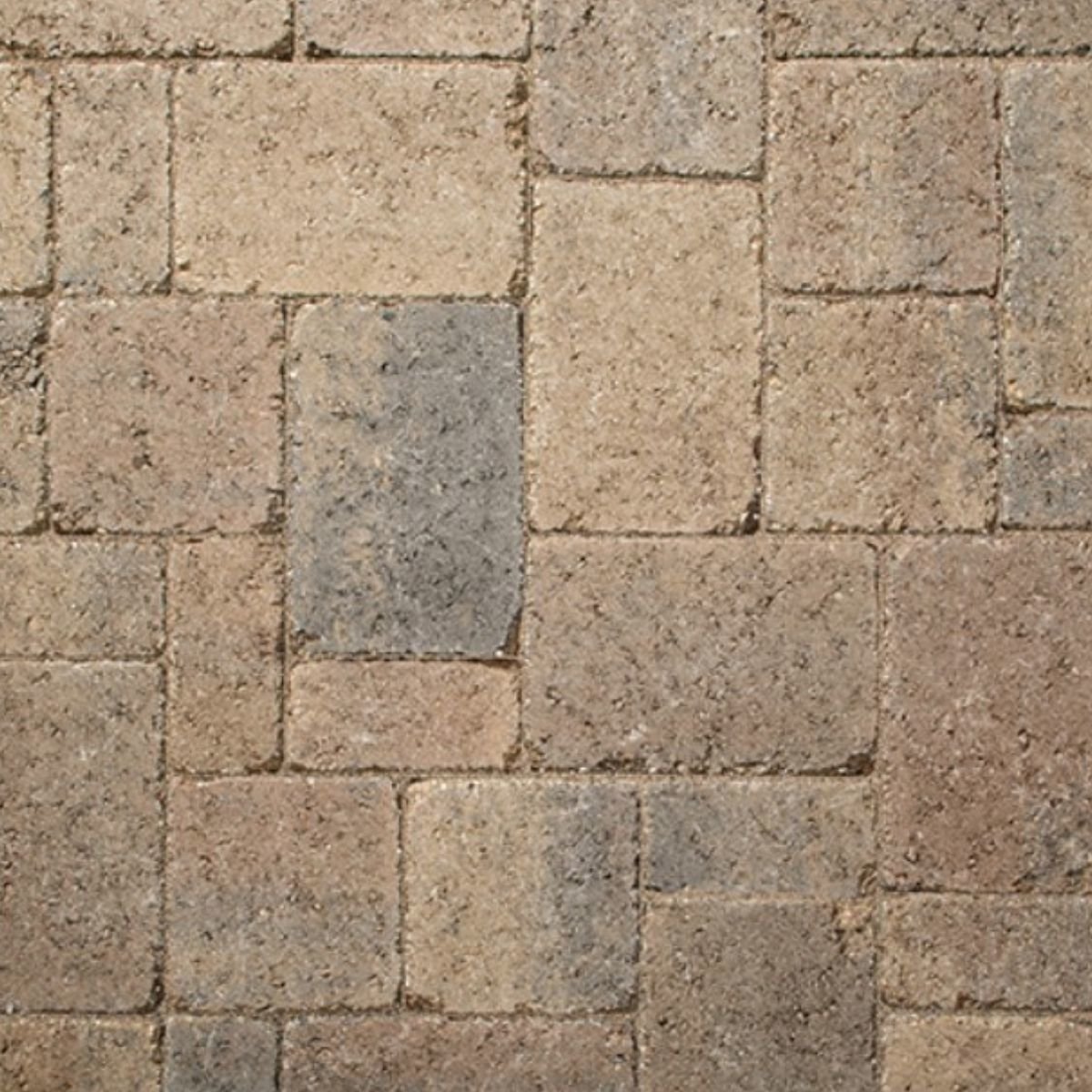 Belgard Cambridge Cobble Circle Paver Bella Blend 60 mm SiteOne