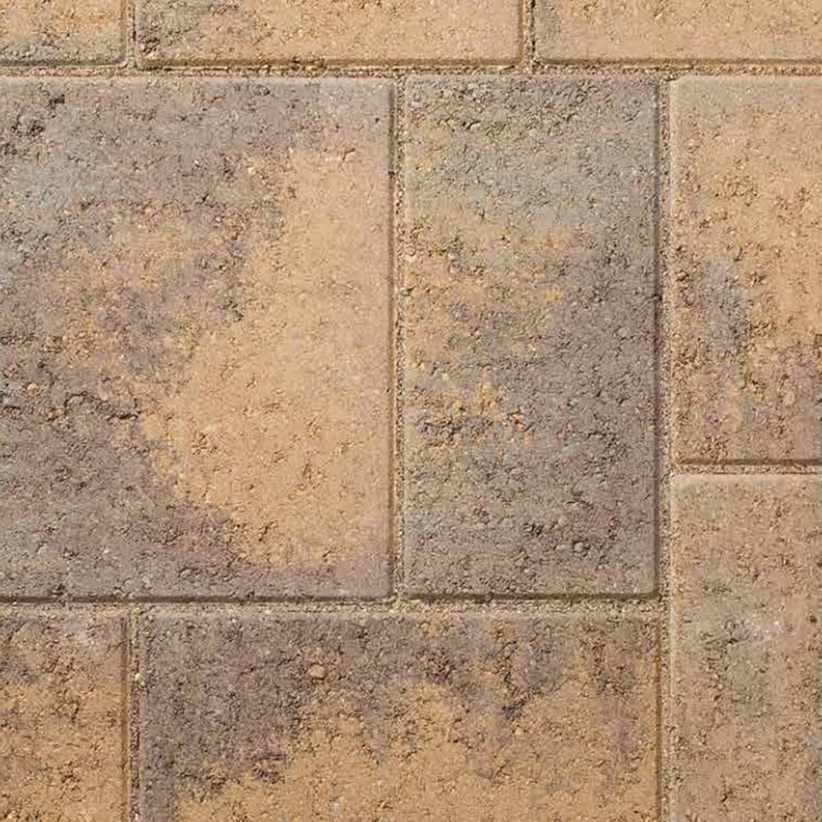 Belgard Catalina Slate Paver 3 pc. Toscana Blend 60 mm SiteOne