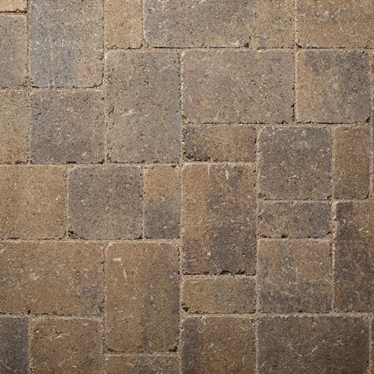 Belgard Cambridge Cobble Overlay Paver Toscana 6 in. x SiteOne