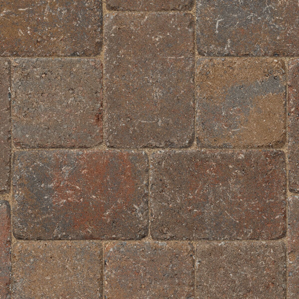 Belgard Dublin Cobble Paver 3 pc. Fossil Beige 60 mm (1 SiteOne
