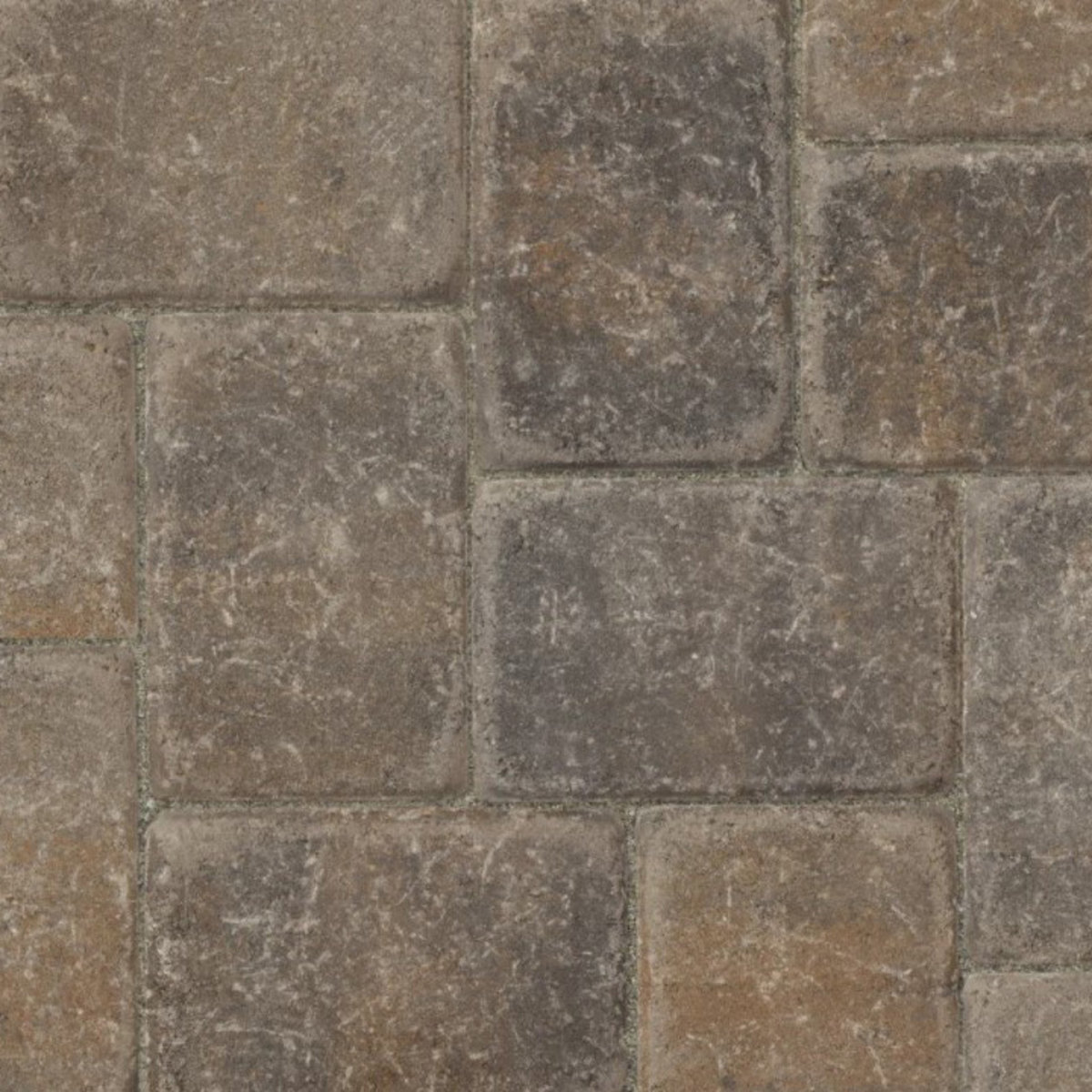 Belgard Cambridge Cobble Paver Victorian Blend 6 in. x SiteOne