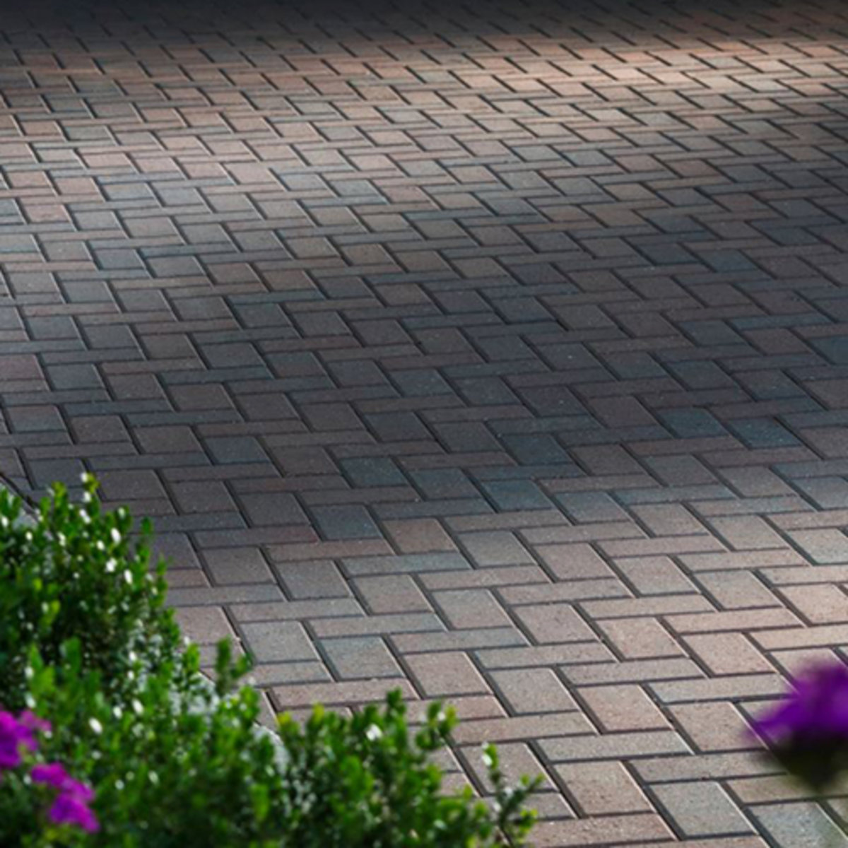 Belgard Holland Stone Paver Victorian Blend 4 in. x 8 i SiteOne