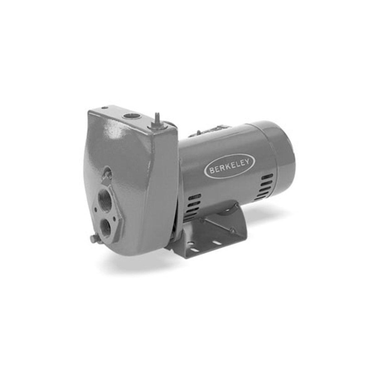 Berkeley Deep Well Jet Pump 1 hp ProJet SL SiteOne