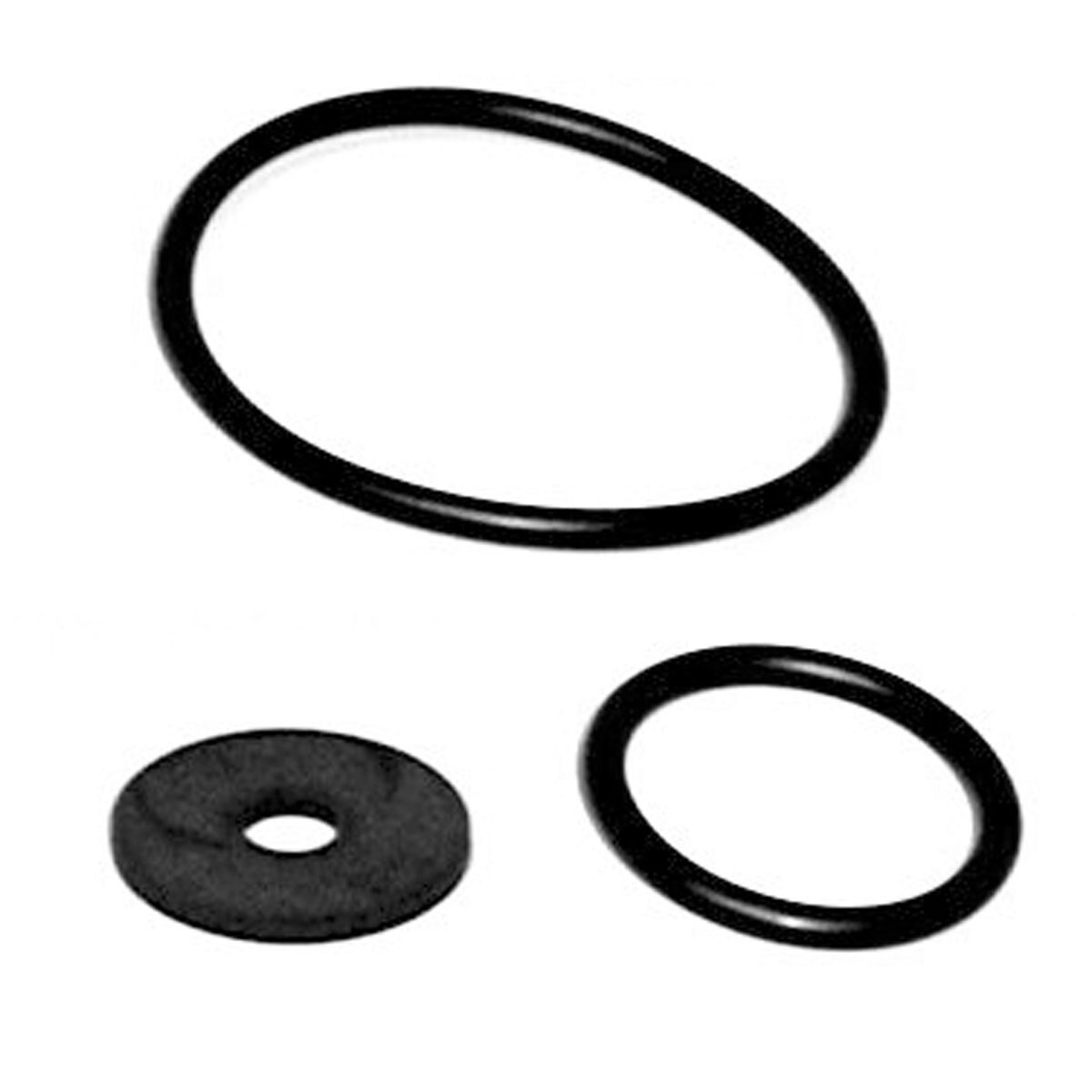 Diaphragm Pump Repair Kit 64840 Chapin SiteOne