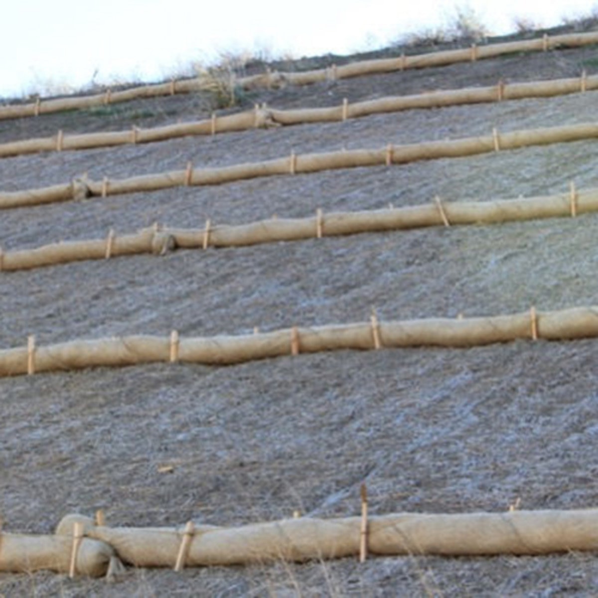 Burlap Rice Straw Wattle 9 in. x 25 ft. SiteOne