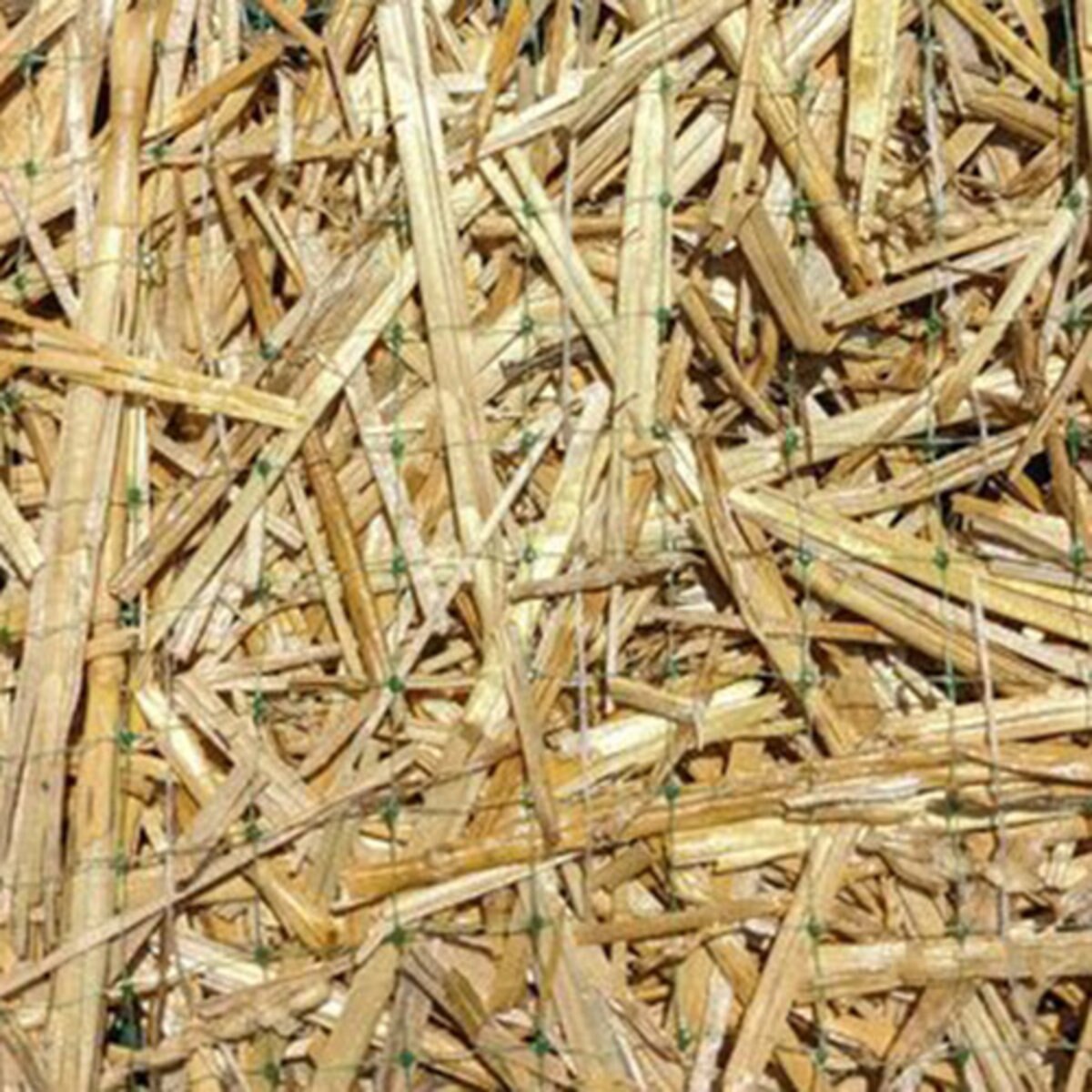 Enviroscape Double Net Straw Blanket 16 ft. x 562 ft. SiteOne