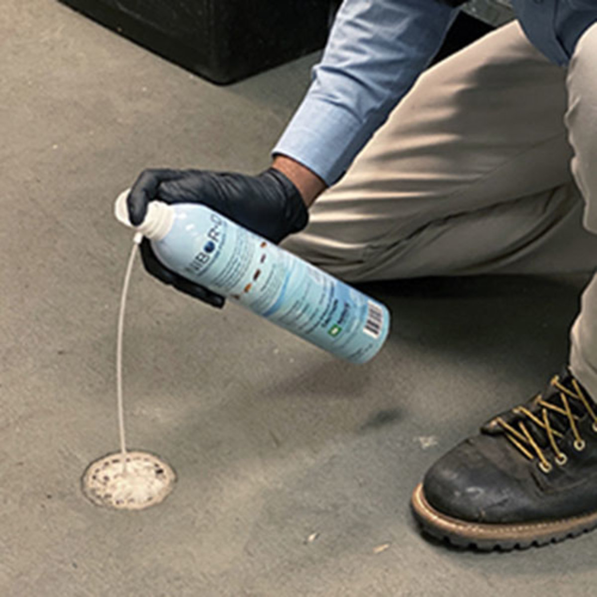 Nisus Nibor-D Insecticide Foam + IGR 21 oz. (QGCY) | SiteOne