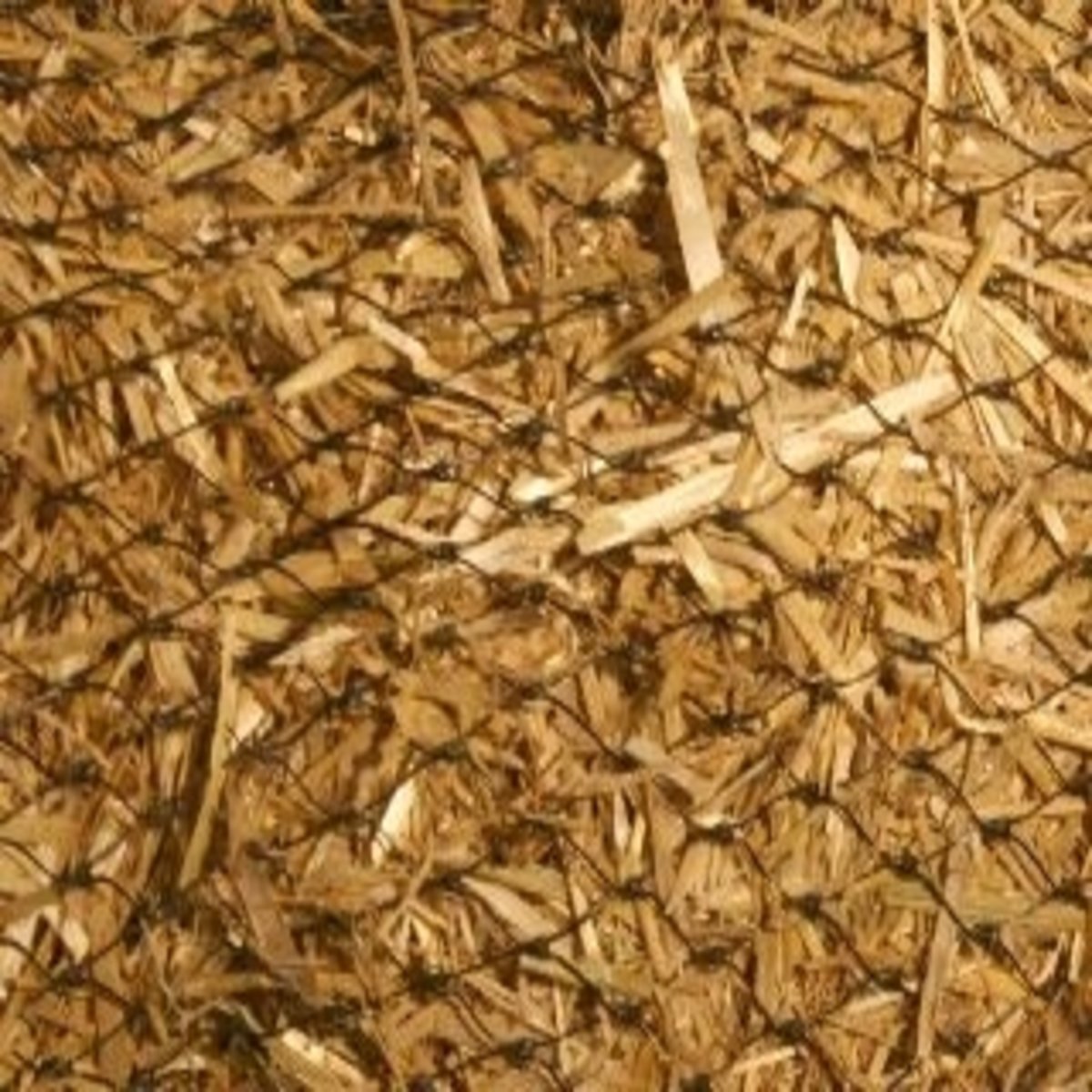 Straw Wattle 12 in. X 10 ft. SiteOne