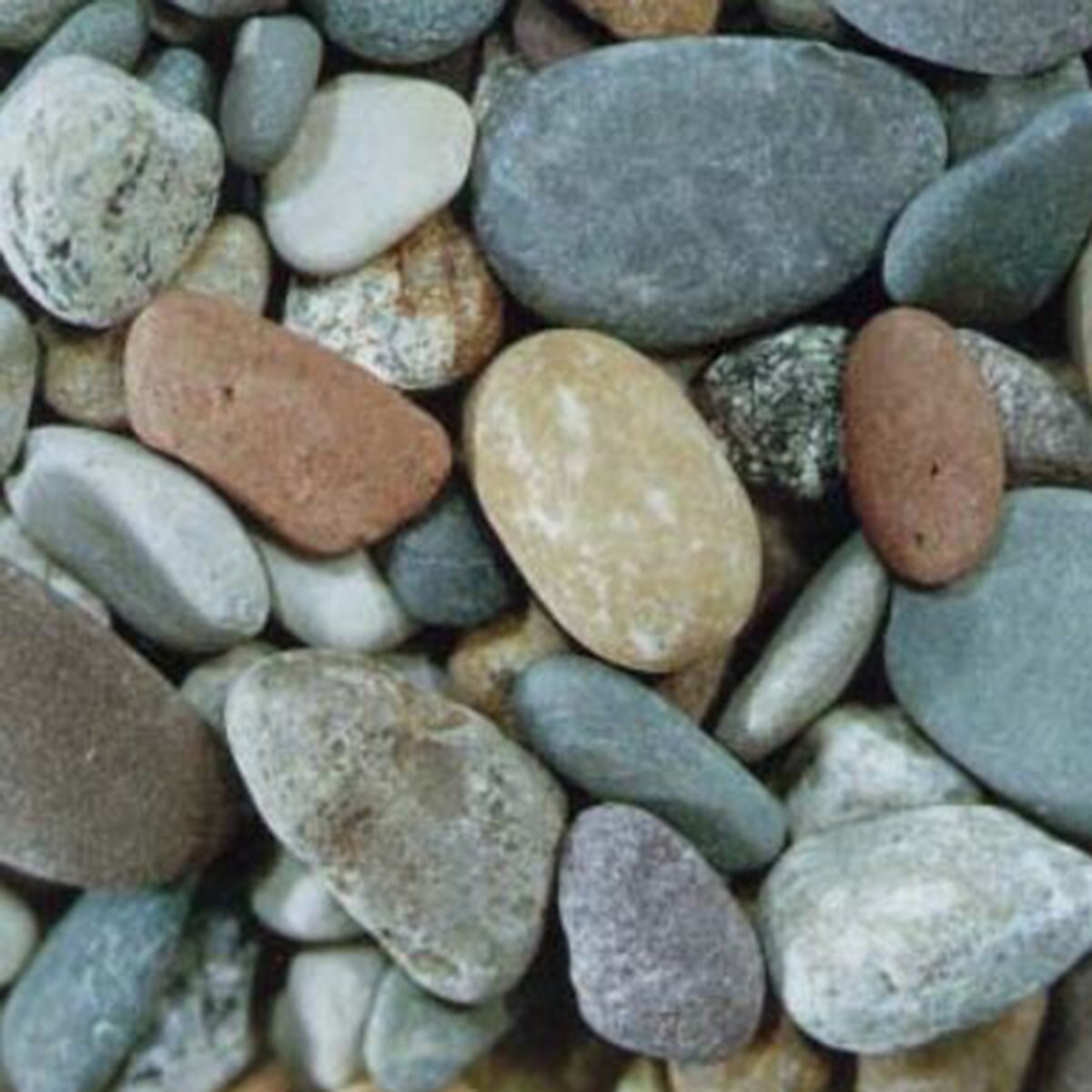 Bulk River Rock Pennsylvania Blend 1 - 3 in. | SiteOne