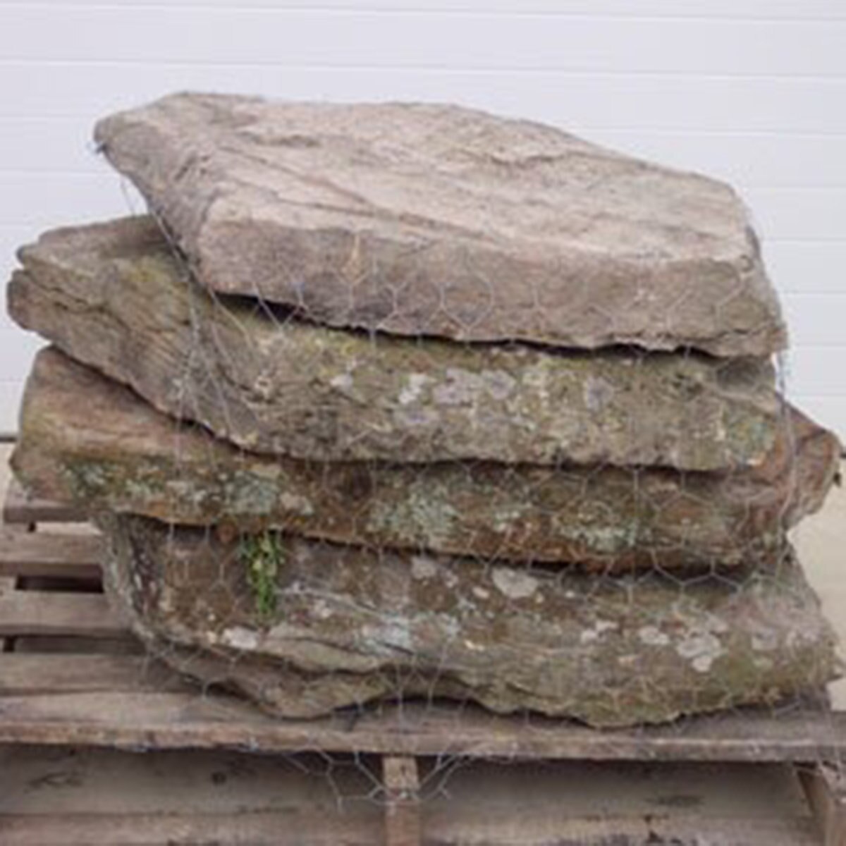 Pennsylvania Fieldstone Steppers Medium | SiteOne