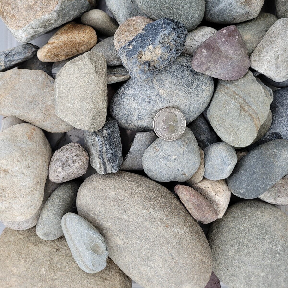 Bulk River Rock Pennsylvania Blend 1 - 3 in. | SiteOne