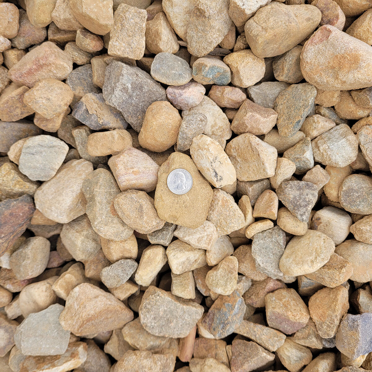 Bulk River Rock Carolina Brown 1-1/2 in. | SiteOne