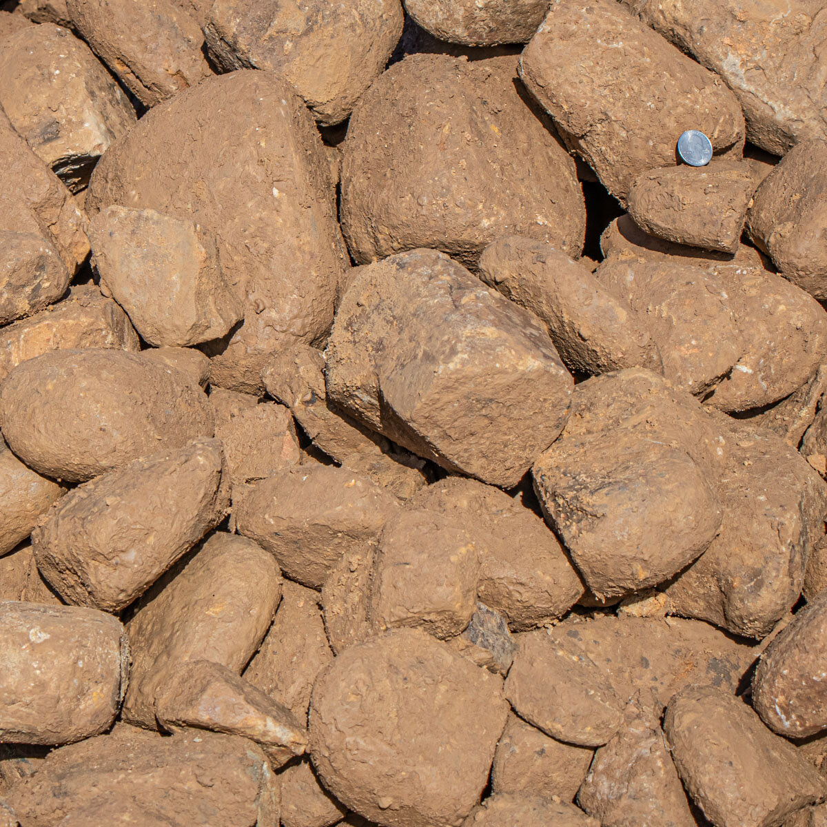 Bulk River Rock Tennessee 4 - 7 in. | SiteOne