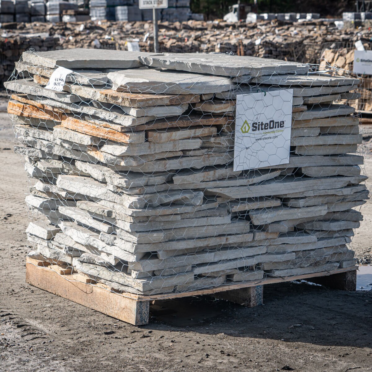 Flagstone Tennessee Blue/Gray Regular SiteOne