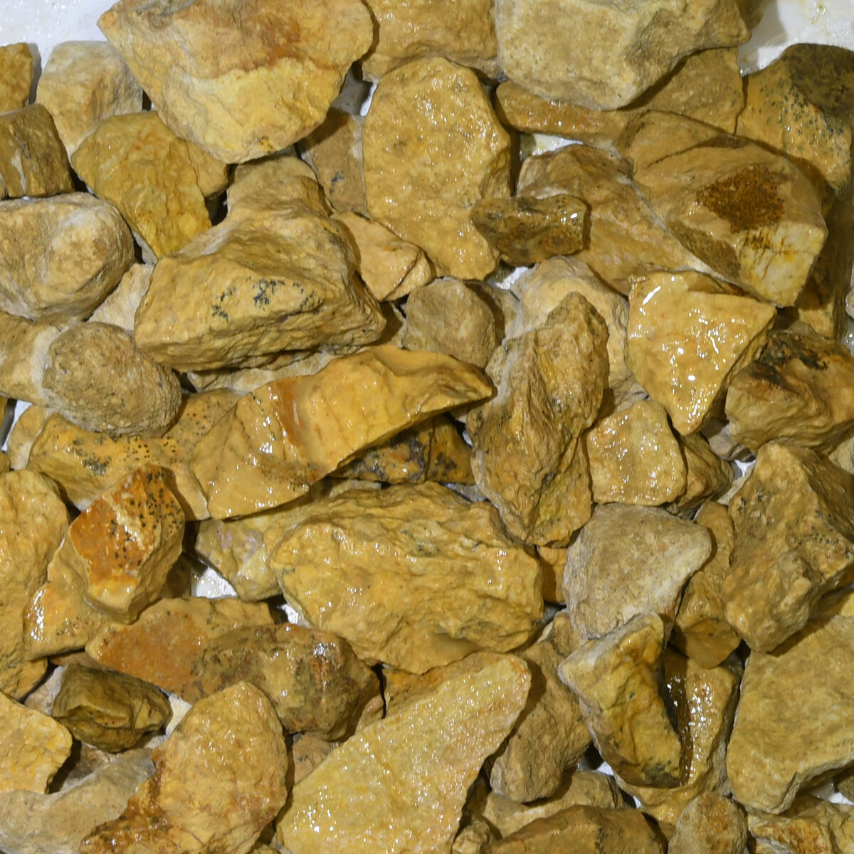 Bulk California Gold Gravel 3/4 in. SiteOne