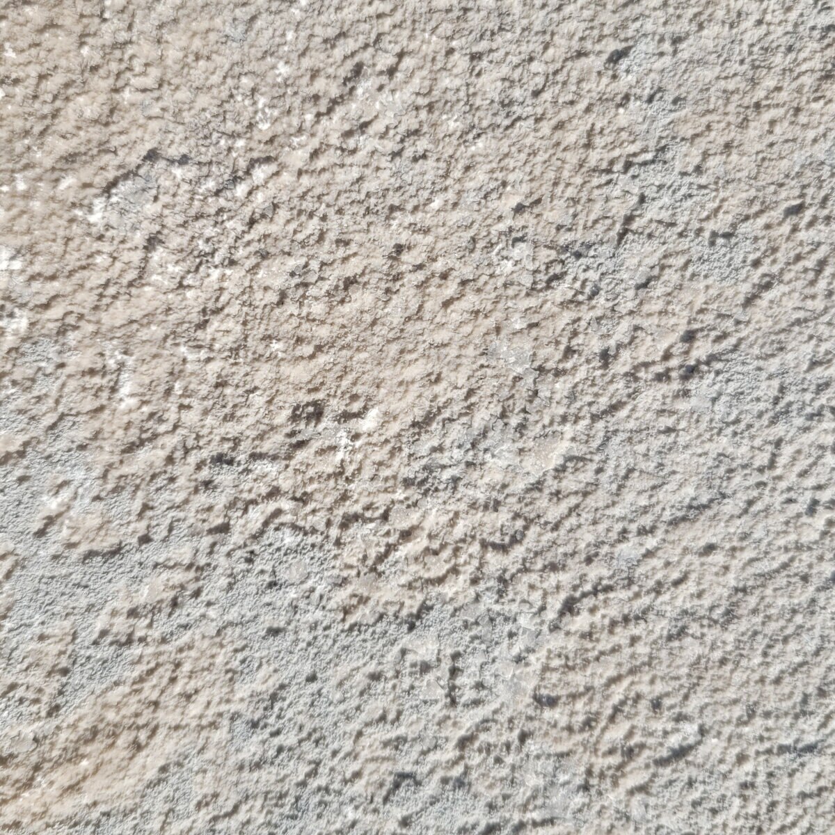 Edgers Eden Limestone NonTumbled 4 in. x 4 in. SiteOne