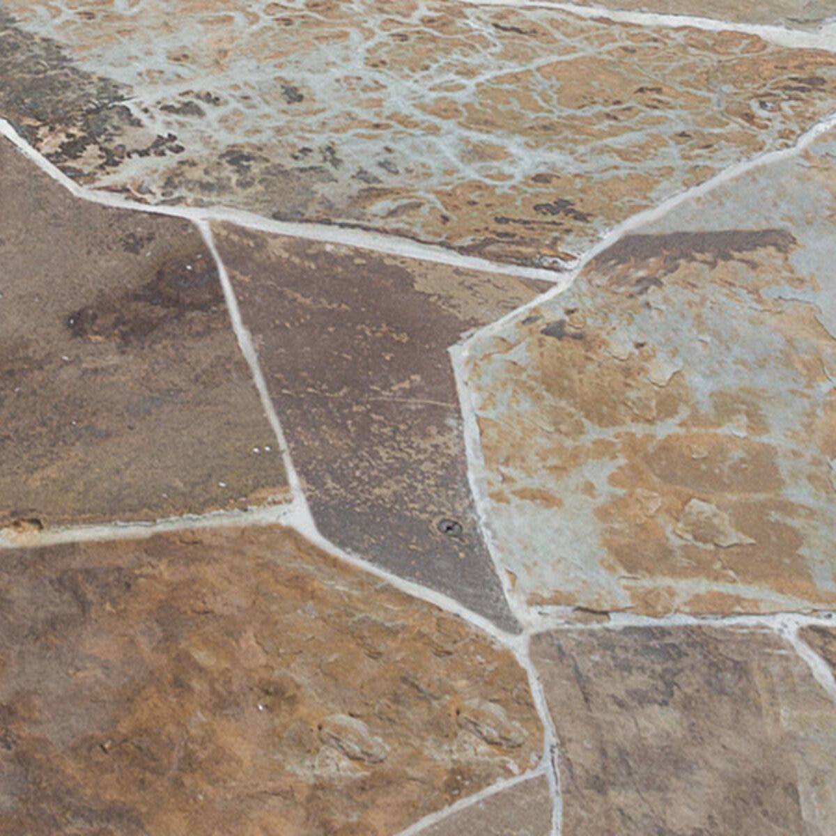 Flagstone Oklahoma Brown Stand Up Prime Select 1 in. SiteOne