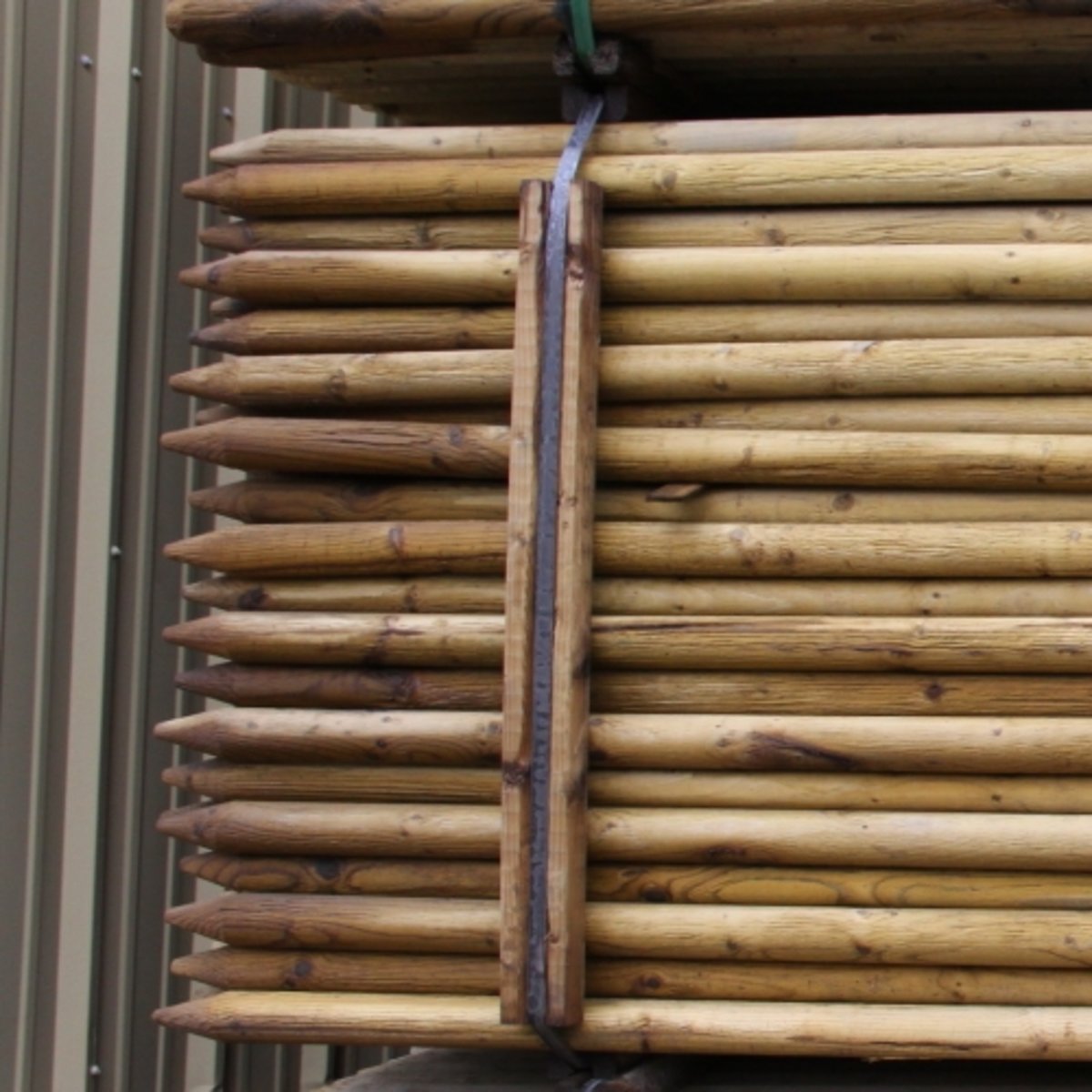 ProSteel Tree Stake Lodge Pole Treated 2 in. x 2 in. SiteOne