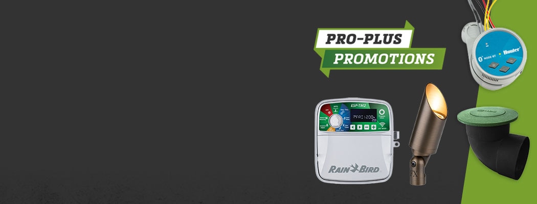 &nbsp;<br>EARN POINTS WITH EVERY PURCHASE
