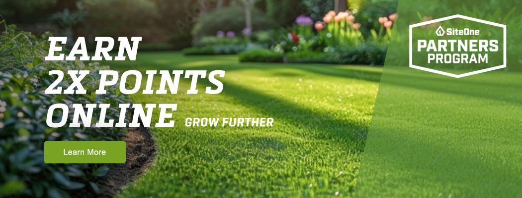 Earn 2X Points Online