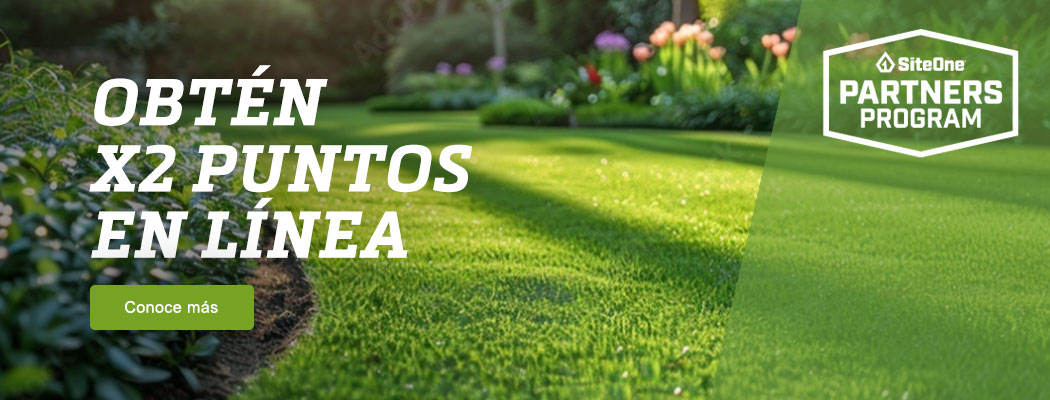Earn 2X Points Online