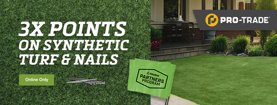 Earn extra points online