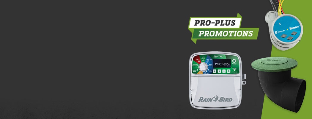 &nbsp;<br>EARN POINTS WITH EVERY PURCHASE