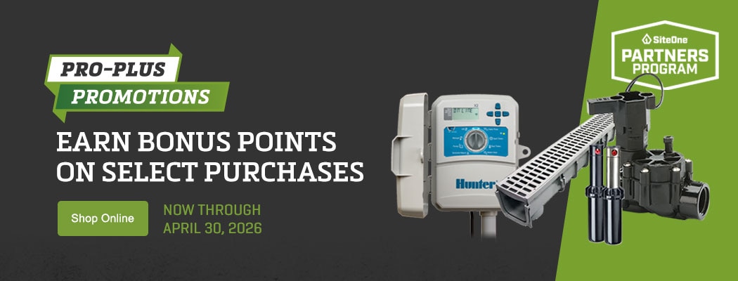 Earn extra points online