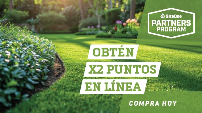 Earn 2X Points Online