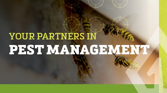 Your Partners in Pest Management