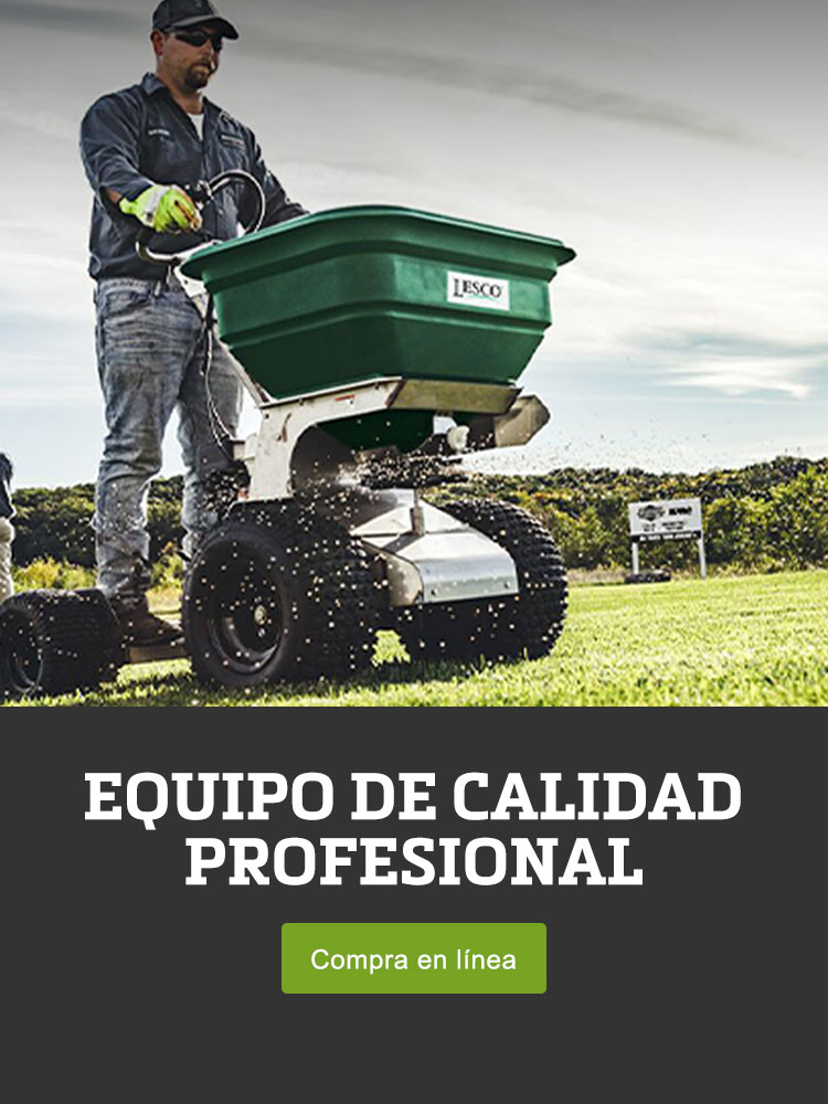 Equipo de calidad profesional