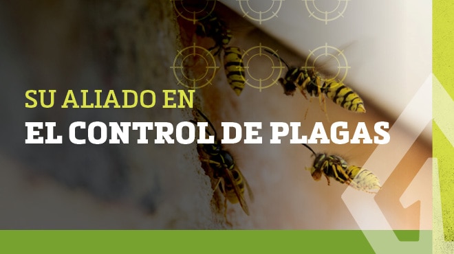 Pest Management Solutions