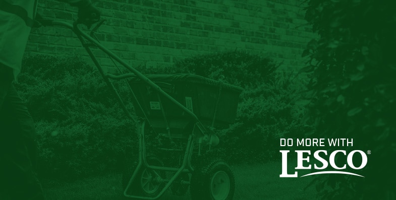 Turf Maintenance Plans