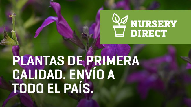 26SideBar-nurserydirect-es.jpg