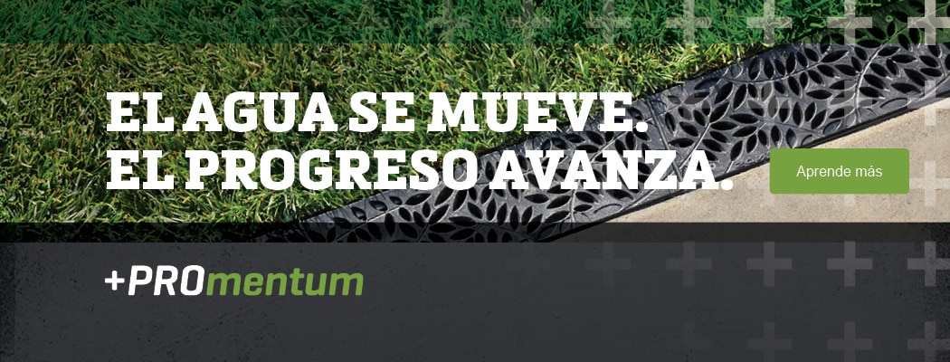 Professional Drainage Solutions