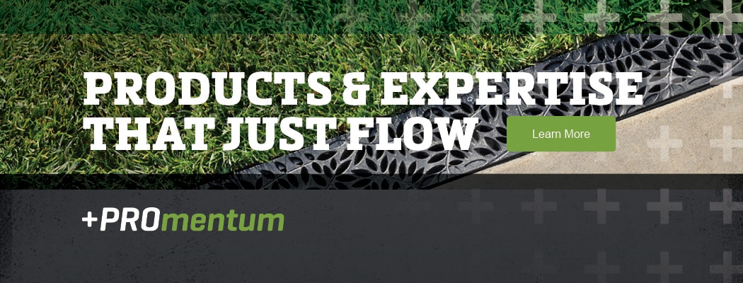 Professional Drainage Solutions