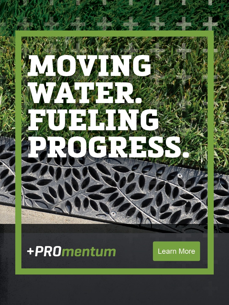 Professional Drainage Solutions