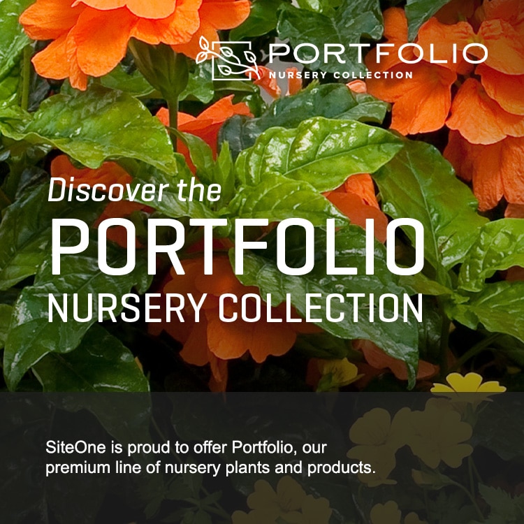 The Portfolio Collection