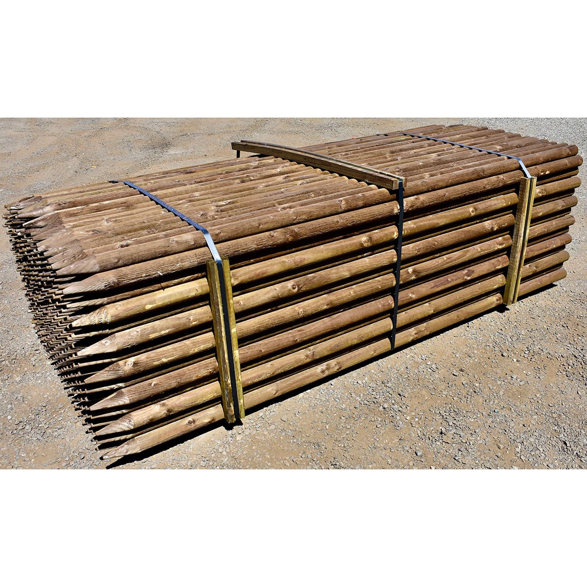 Tree Stake Lodge Pole Treated 2 in. x 2 in. x 8 ft. SiteOne