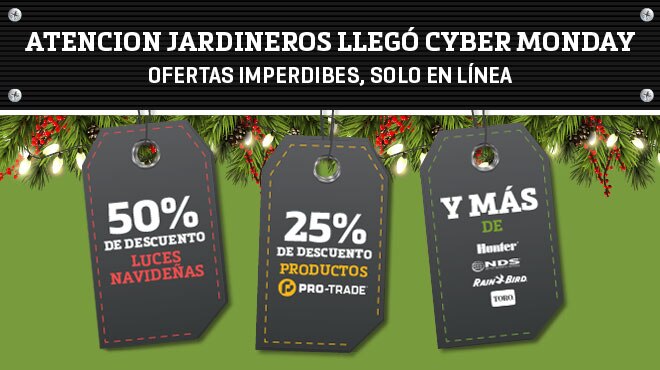 ProPlus Curated Banner