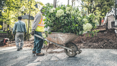 top tools for planting
