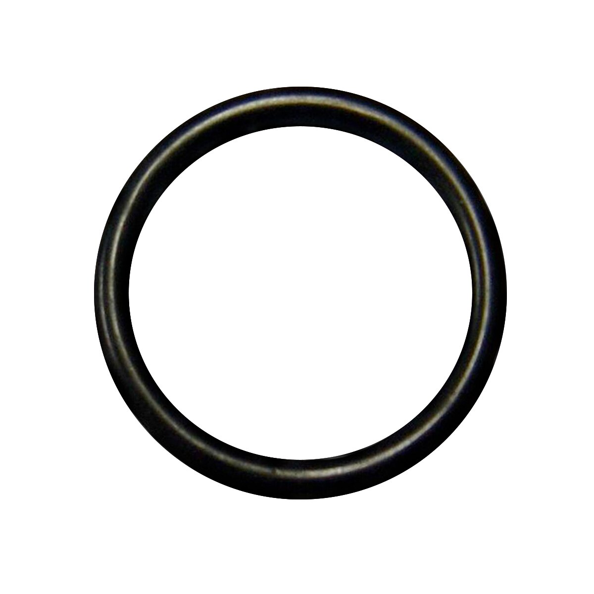 Toro ORing For Pvb Valve Stem SiteOne
