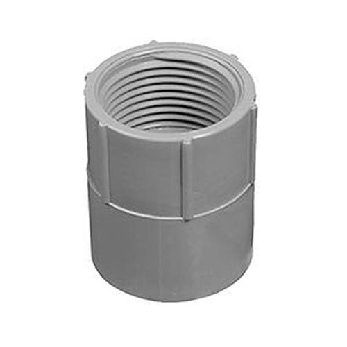 3/4 PVC Conduit Female Adapter | SiteOne