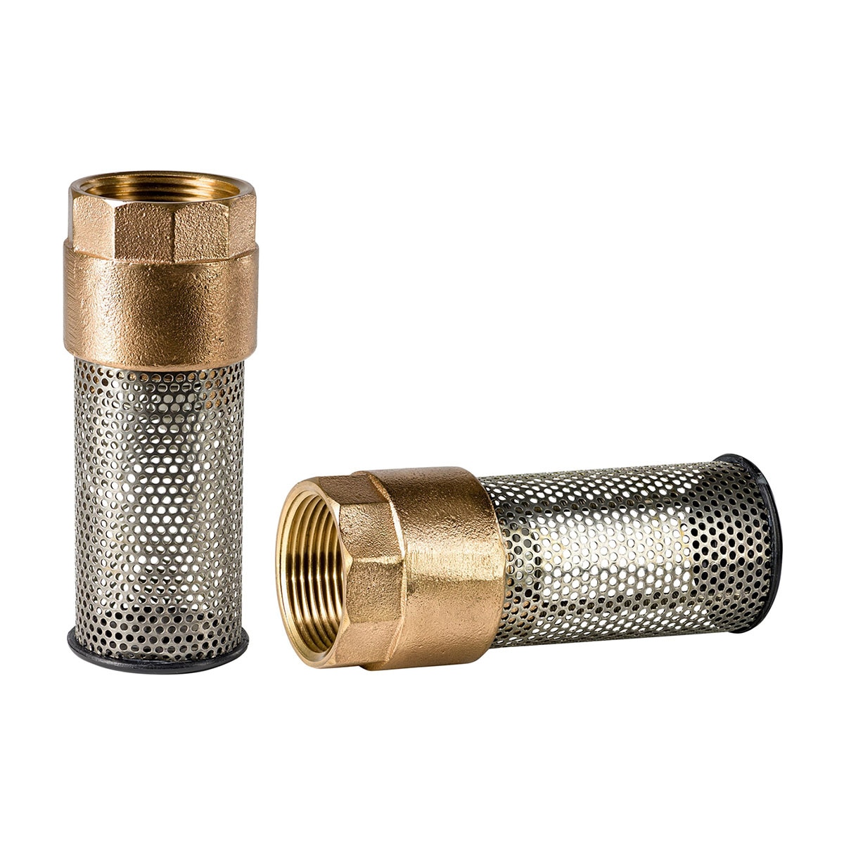 Flomatic 60SE Enviro Foot Valve 1 in. SiteOne