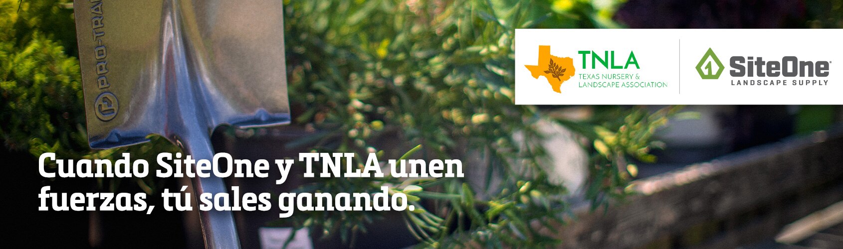 TNLA y SiteOne
